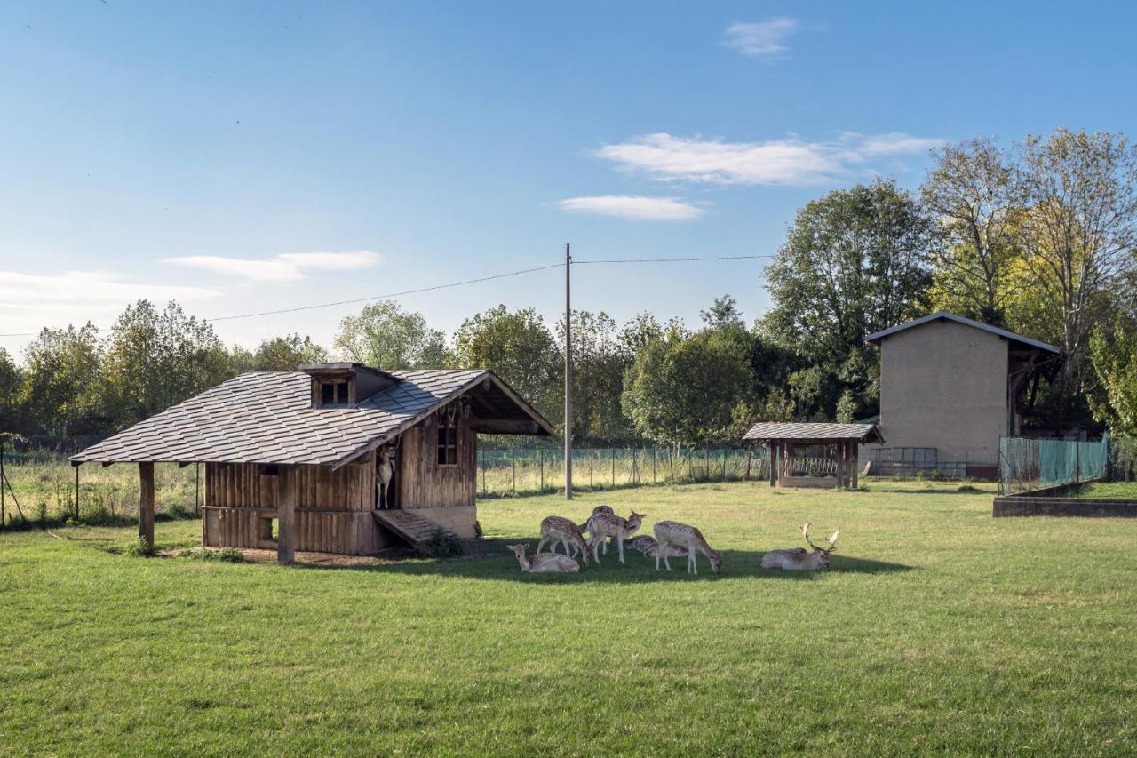 Ferienwohnung La Casetta Dei Daini - Affitti Brevi Italia Orio al Serio Exterior foto